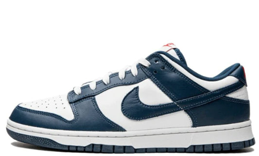 Nike Dunk Low Valerian Blue